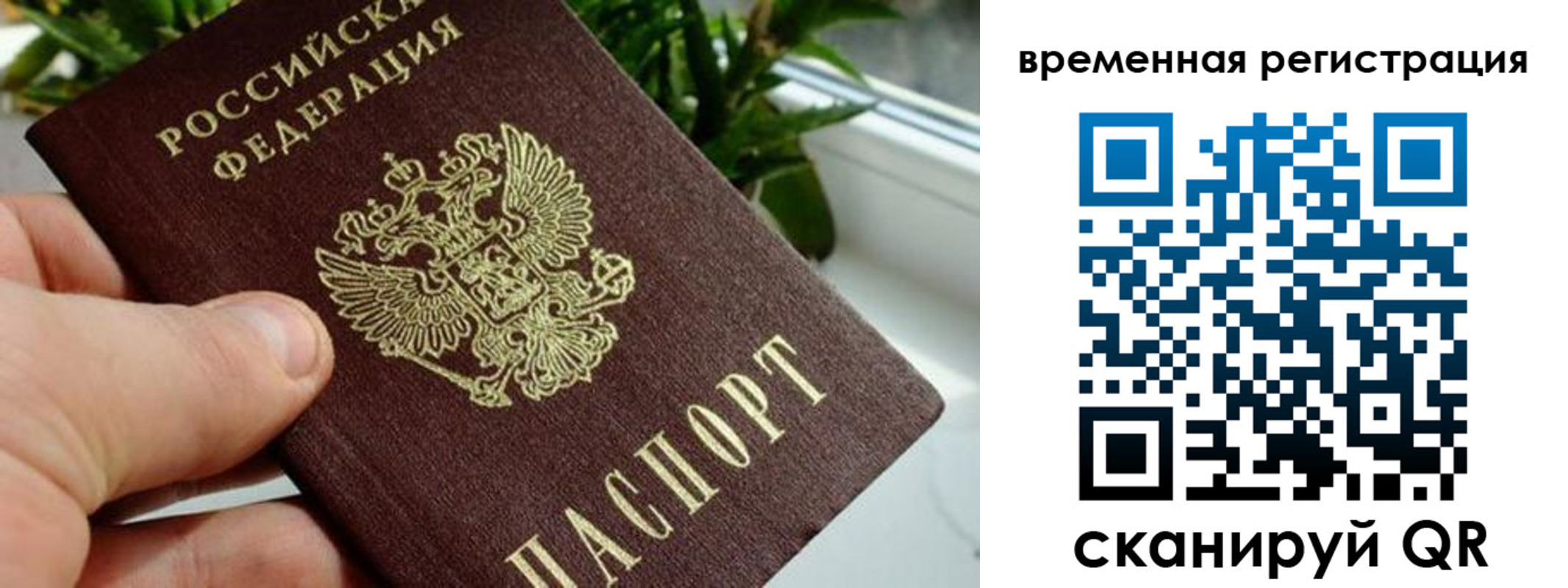 прописка поиск в Майском